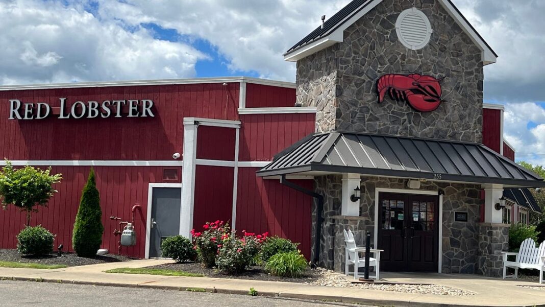 ‘I know how to do math’: New Red Lobster CEO says endless shrimp deal is not coming back