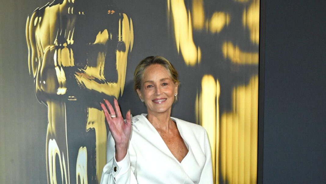 Sharon Stone slams ‘ignorant, arrogant’ Americans after Donald Trump win