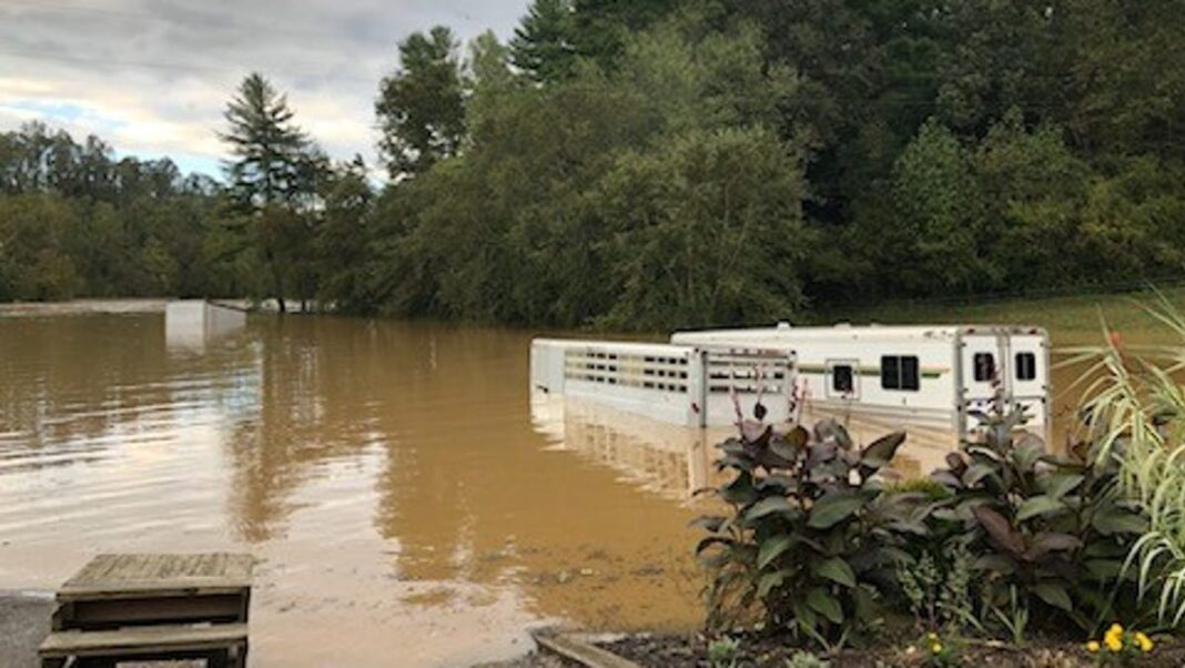 Trapped with 54 horses for 4 days: Biltmore Estate staff fought to find water after Helene