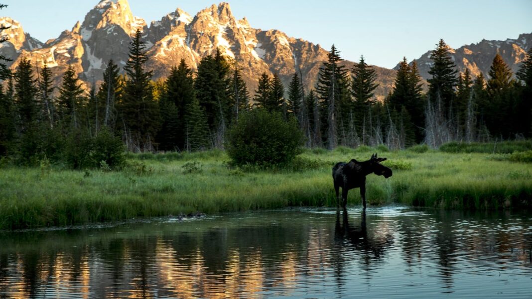 Wyoming officials approve $100 million sale of Grand Teton National Park land to government