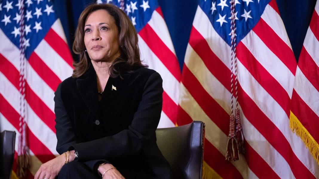 Kamala Harris urges supporters to ‘stay in the fight’ as Trump’s return looms