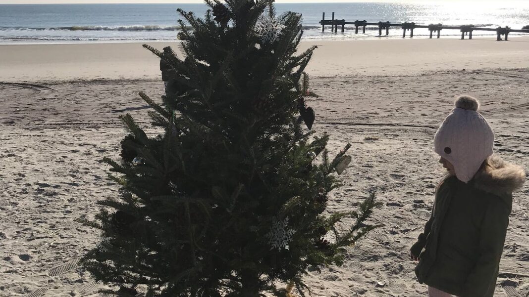 How one little Christmas tree on a NJ beach branched into a beloved tradition