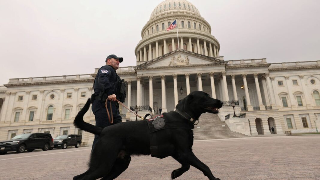 A government shutdown could make Trump transition ‘chaotic’