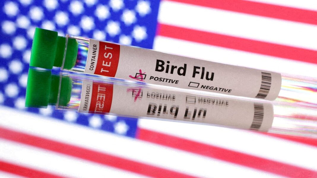 The first severe case of H5N1 bird flu confirmed in US: What to know about the virus