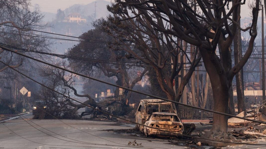 Pacific Palisades residents return to wreckage: ‘Everybody at this point is just numb’