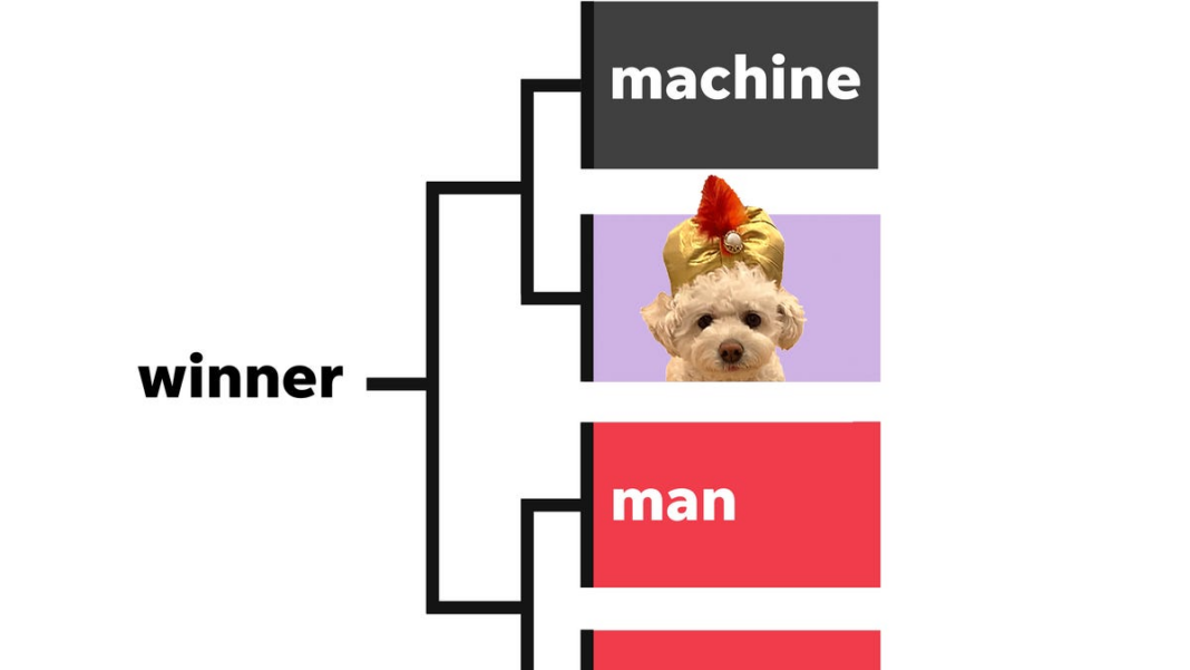 NFL playoffs give dog a shot against man and machine in predictions contest