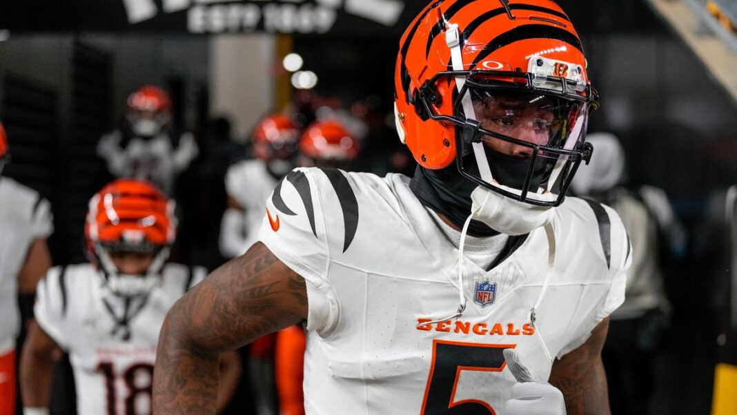 Tee Higgins injury update: Bengals WR leaves must-win game against Steelers with ankle injury