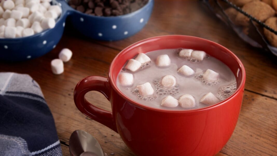 Would you drink hot chocolate with bone broth in it?