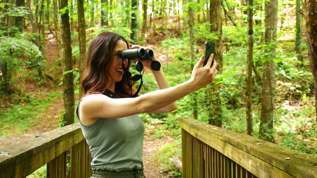 What bird is that? How you can easily identify a bird you see in the wild: Video